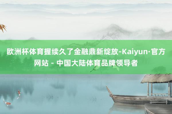 欧洲杯体育握续久了金融鼎新绽放-Kaiyun·官方网站 - 中国大陆体育品牌领导者