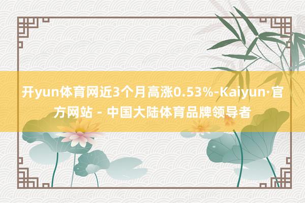开yun体育网近3个月高涨0.53%-Kaiyun·官方网站 - 中国大陆体育品牌领导者