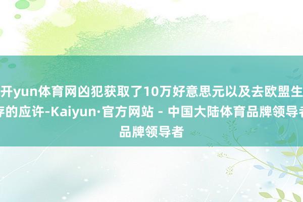 开yun体育网凶犯获取了10万好意思元以及去欧盟生存的应许-Kaiyun·官方网站 - 中国大陆体育品牌领导者