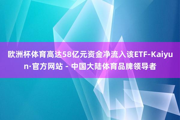 欧洲杯体育高达58亿元资金净流入该ETF-Kaiyun·官方网站 - 中国大陆体育品牌领导者