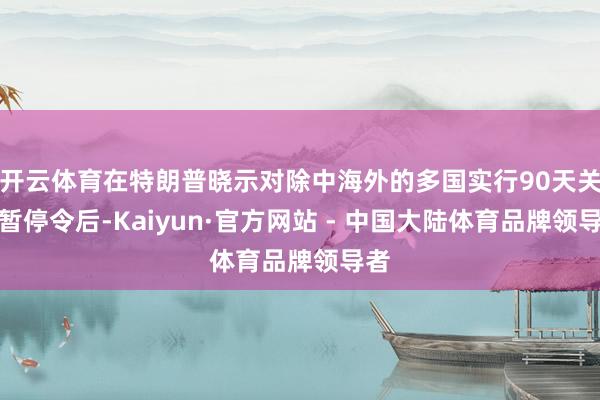 开云体育在特朗普晓示对除中海外的多国实行90天关税暂停令后-Kaiyun·官方网站 - 中国大陆体育品牌领导者