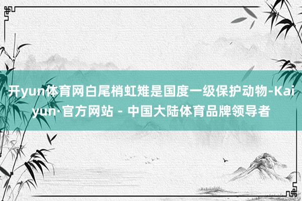 开yun体育网白尾梢虹雉是国度一级保护动物-Kaiyun·官方网站 - 中国大陆体育品牌领导者